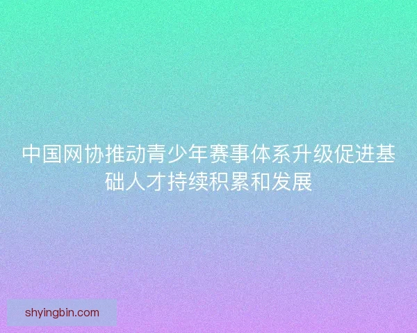 中国网协推动青少年赛事体系升级促进基础人才持续积累和发展